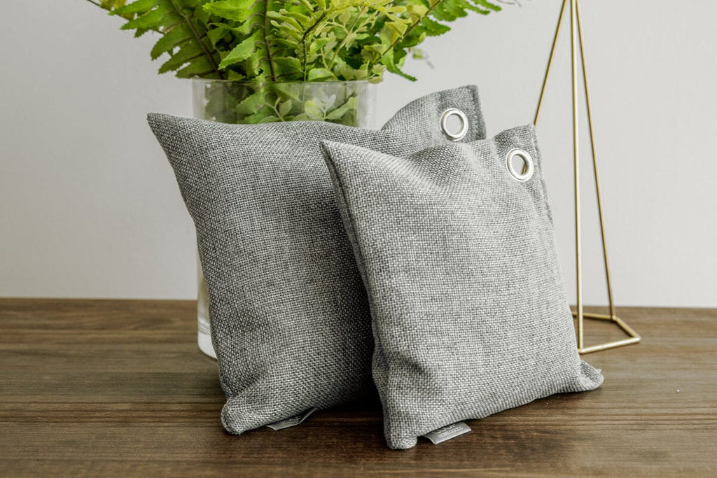 Freshen Up Your Home with Activated Charcoal