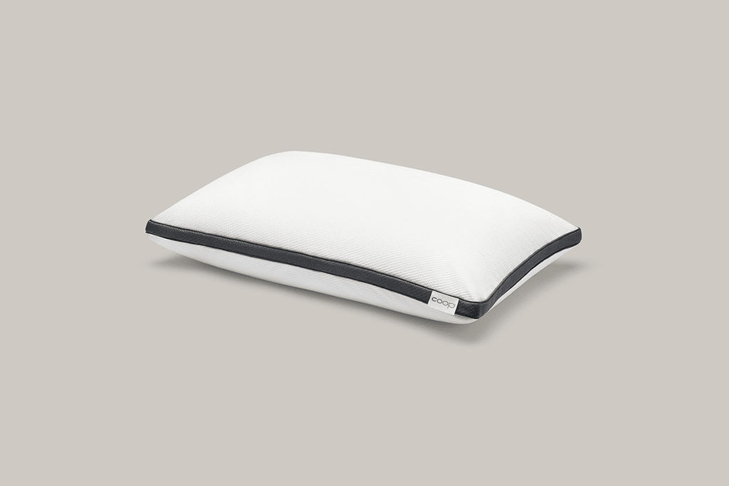 Coop pillow protector best sale