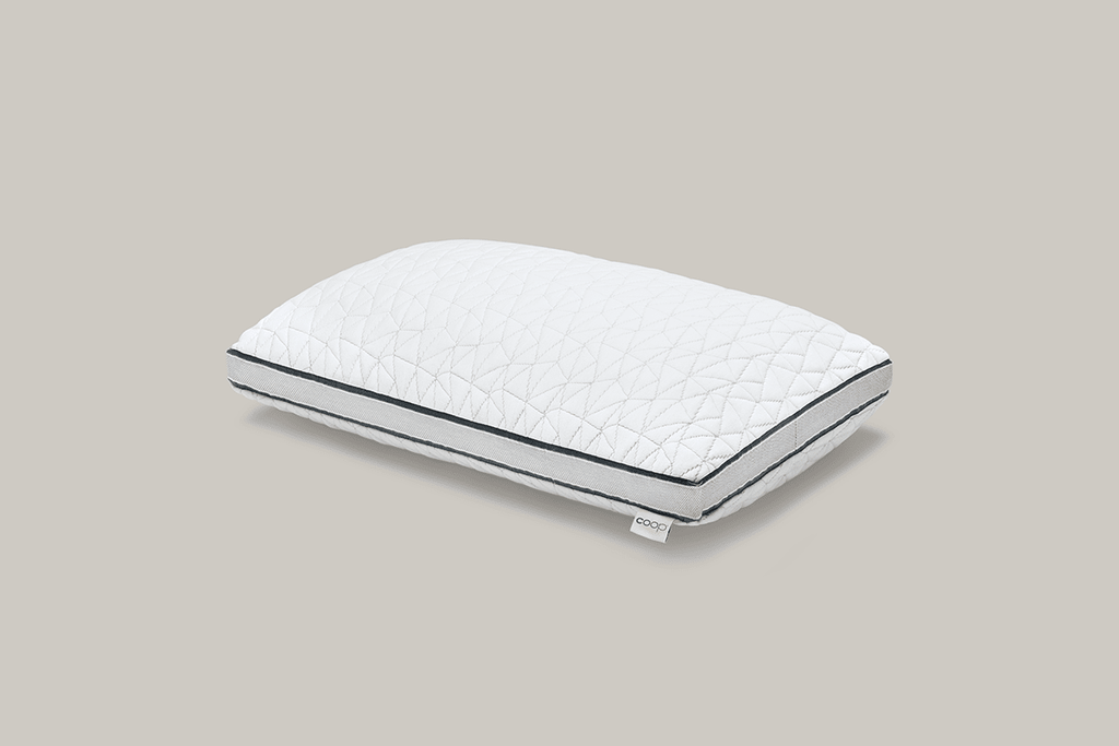 Coop home goods eden shredded memory foam pillow online