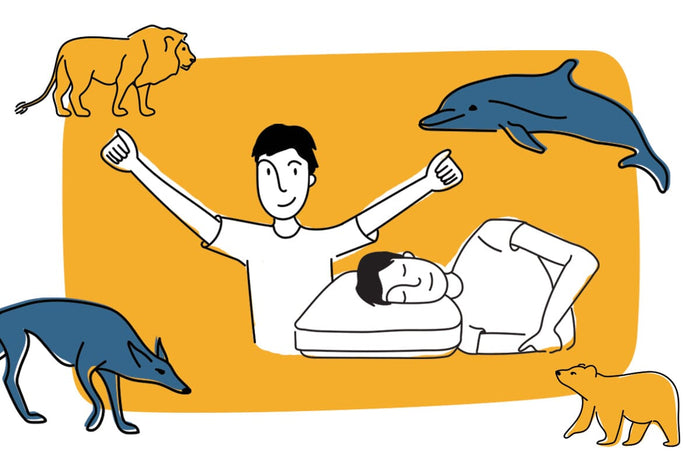 Find Out Your Chronotype to Boost Productivity