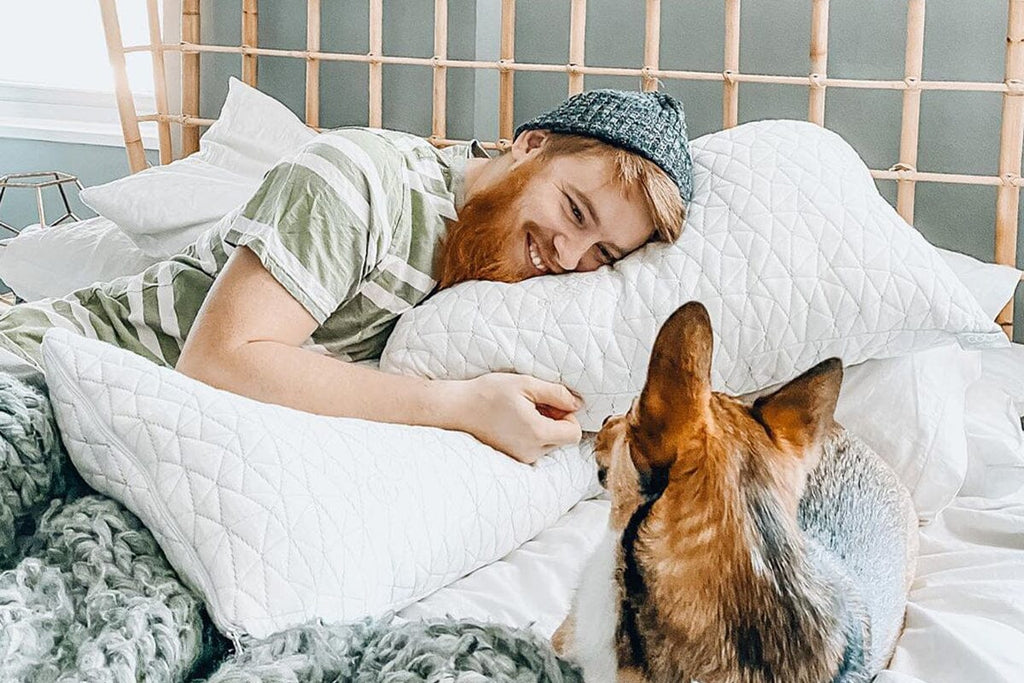 Petting the Bed: Can Pets Sleep With You?