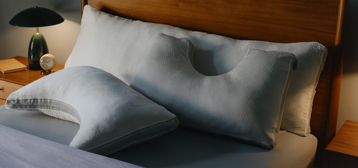 Coop Pillow & Bedding