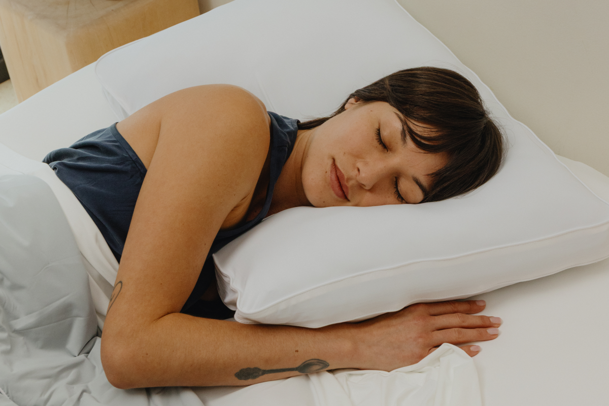Coop Pillow & Bedding