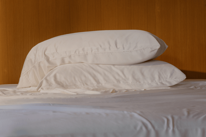 Coop Pillow & Bedding