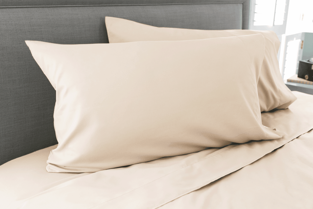 Comphy Luxury Bedding Coop Sleep Goods