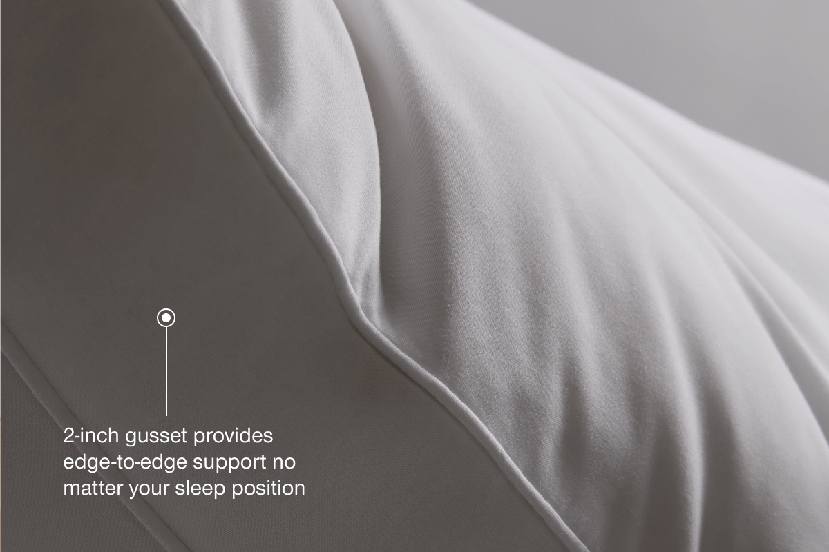 Essence Adjustable Pillow (2 Pack)