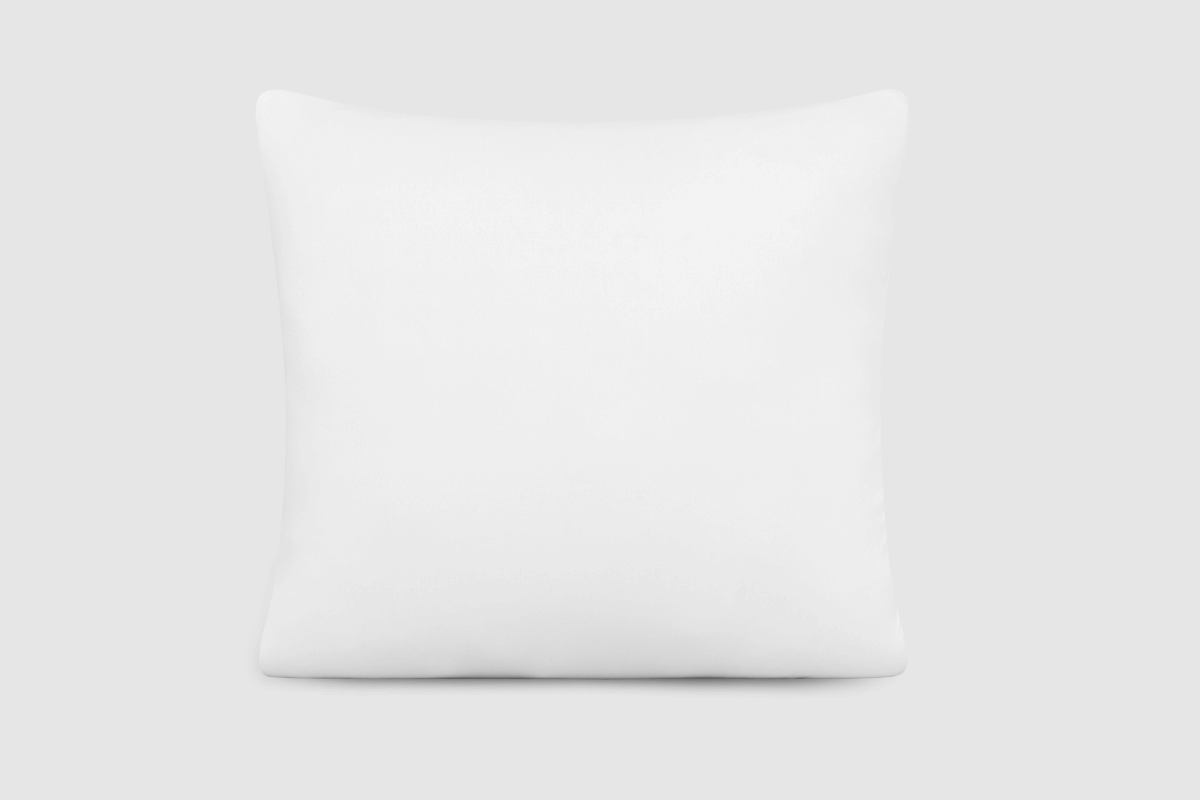 Original Throw Pillow Insert (Set of 2)