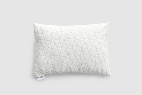 Best Toddler Pillow