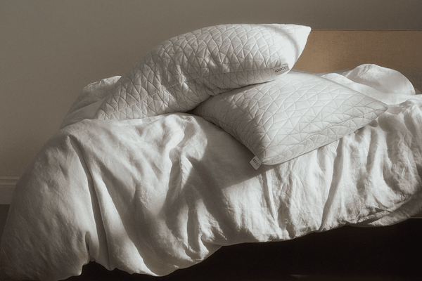 The Big One Microfiber 2pk (Kohl's) Pillow Review - Consumer Reports